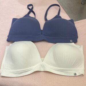 Lucky Brand Blue and White Bra Set